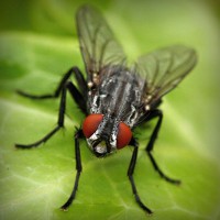 /album/desentupidoravasoscanoas/photolia-a01-jpg/