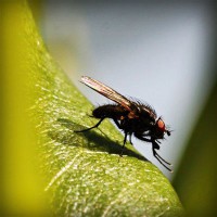 /album/desentupidoravasoscanoas/photolia-a04-jpg/