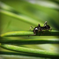 /album/desentupidoravasoscanoas/photolia-a05-jpg/