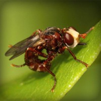 /album/desentupidoravasoscanoas/photolia-a06-jpg/